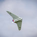 CNHL AviNationRC Horten Ho 229 RC plane underside view in flight